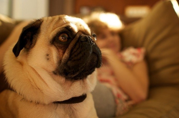 映画で英語の勉強！楽しみながら効率よく学ぶ映画鑑賞のコツ４つ